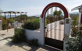 Villa Ampelia